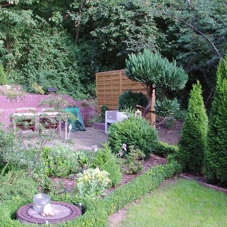 Halmis Fewo Apartment Derenburg Екстериор снимка